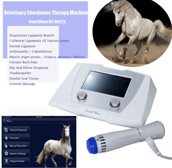 ESWT Veterinary Shock Wave Therapy Equipment