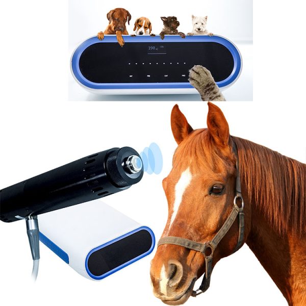Veterinary Medicine Extracorporeal Shockwave Therapy Equipment in Equine With DC